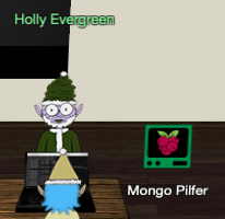 Holly Evergreen